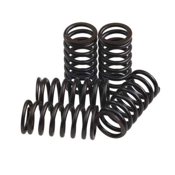 Kit Ressort d`embrayage Suzuki RM 250...
